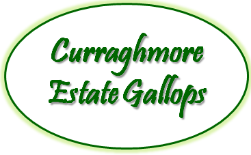 Curraghmore Estate Gallops