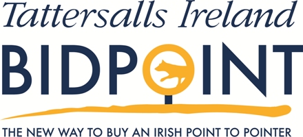 BidPoint%20-%20How%20to%20Buy%20an%20Irish%20Point-to-Point
